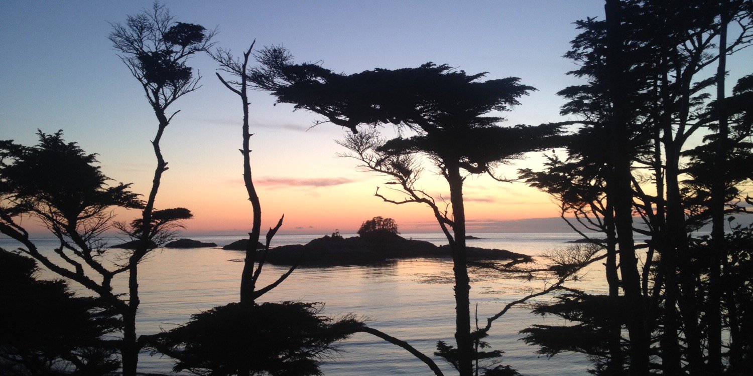 Brett Johnson banner