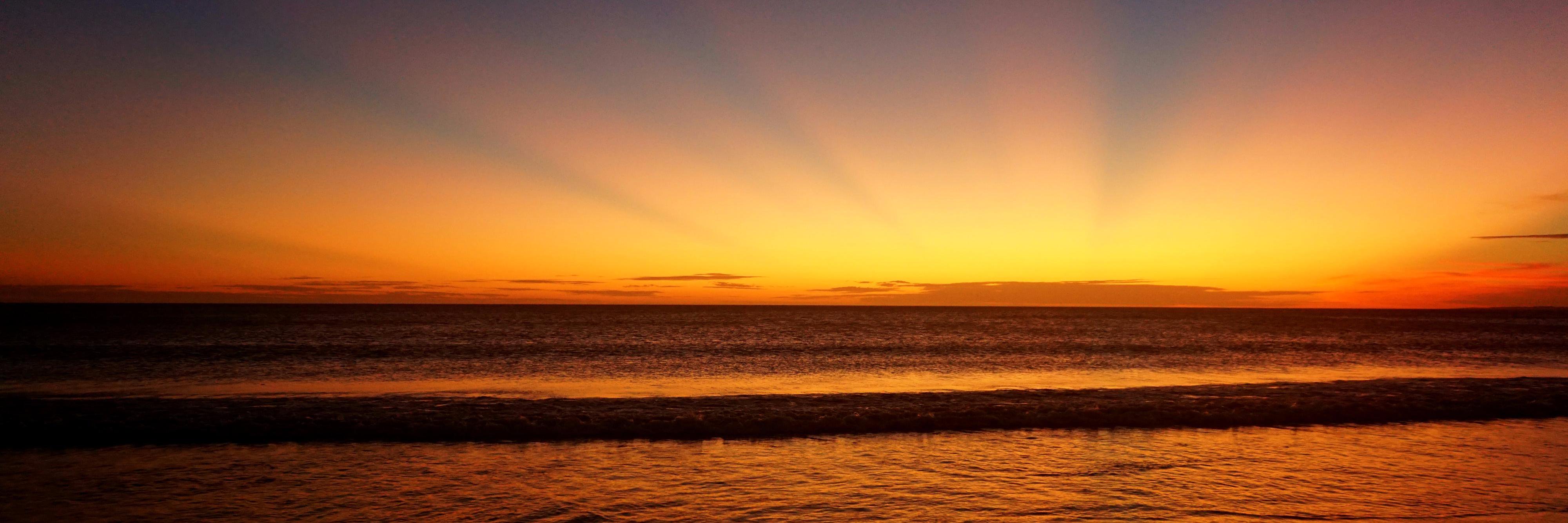 Lizrrd's profile banner image