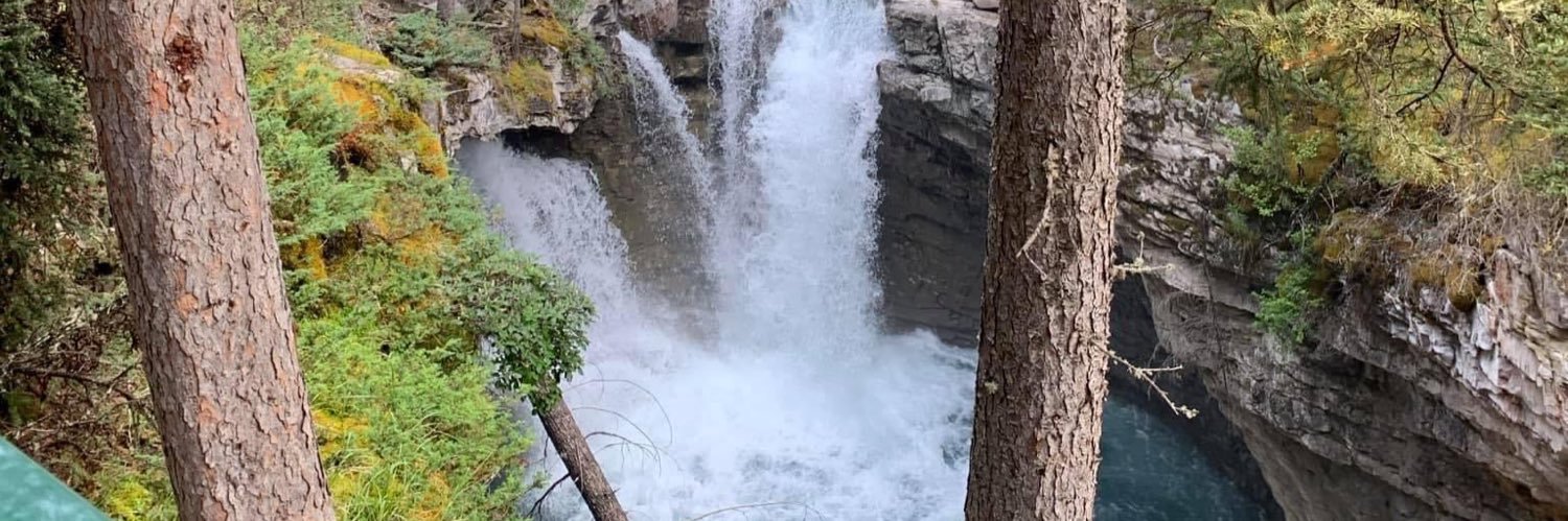 Caitlin Mulligan banner