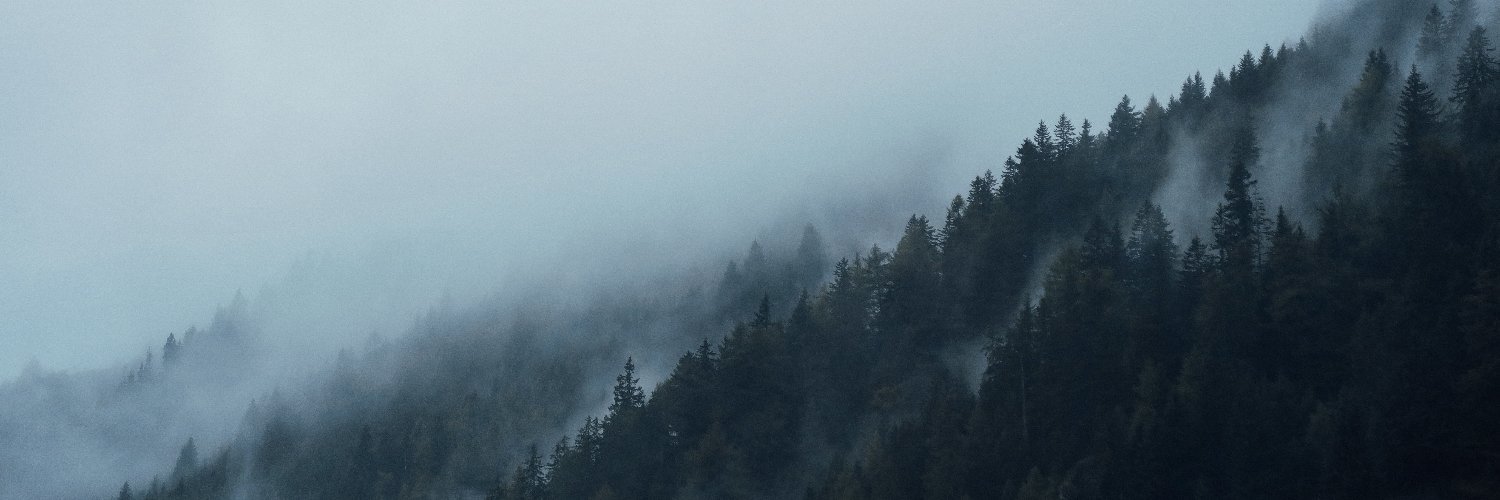 vanyacrow's profile banner image