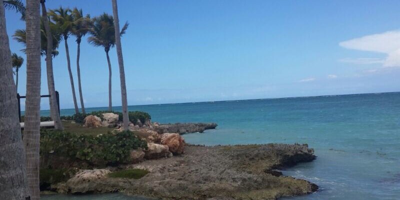 aliDmjo's profile banner image