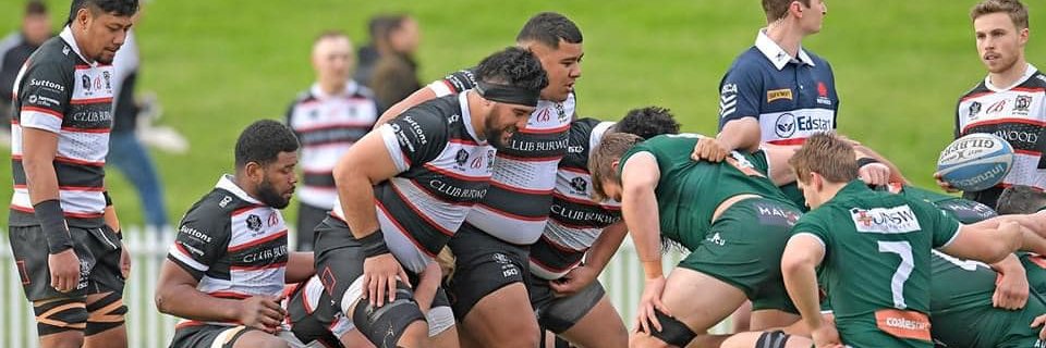 West Harbour Rugby banner