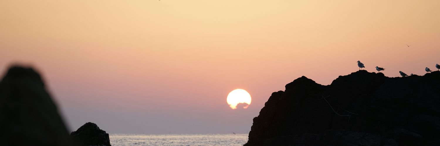 cytk9843's profile banner image