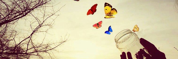 lissystargd's profile banner image