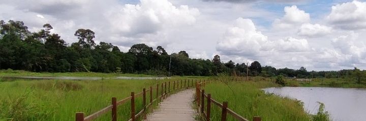 rissmaimaa_'s profile banner image
