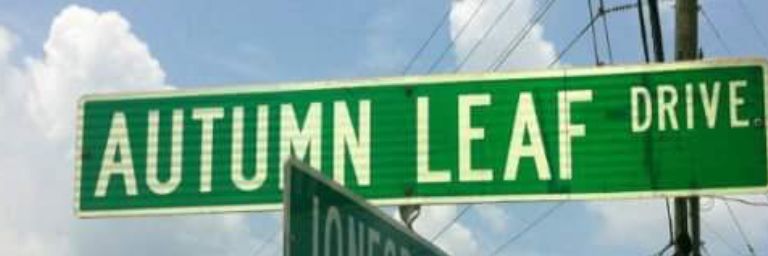 AutumnLeaf's profile banner image