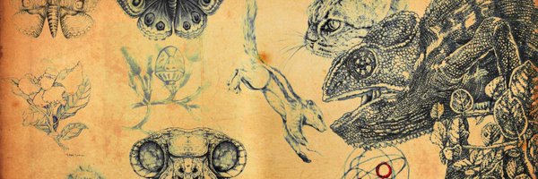onmyeasel Profile Banner