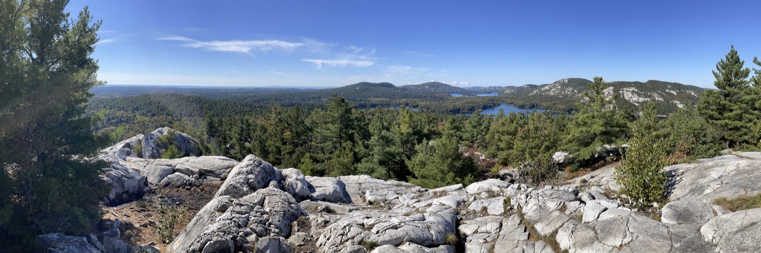 Meaghan Elizabeth 🇵🇸🇱🇧 banner