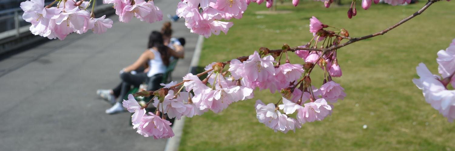 Retraites Populaires banner