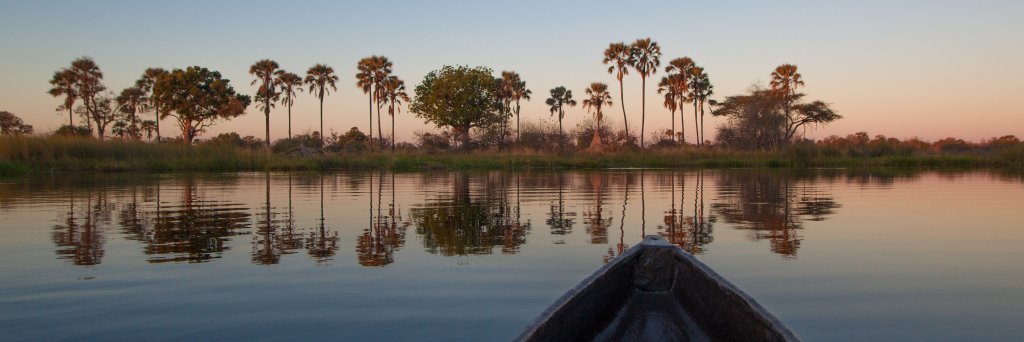 JamboSafari's profile banner image