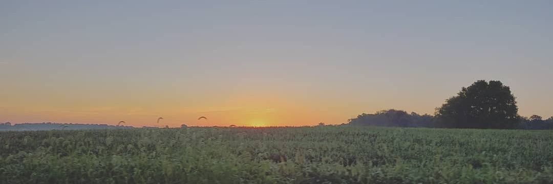 Shelby Lynn Graves banner