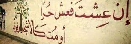 mohnaddabour's profile banner image