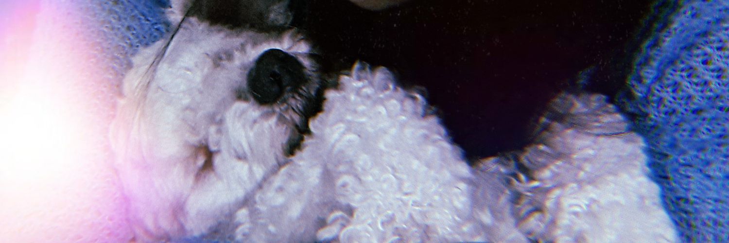 YaazCornejo's profile banner image