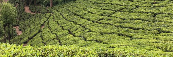 apradhan1968 Profile Banner