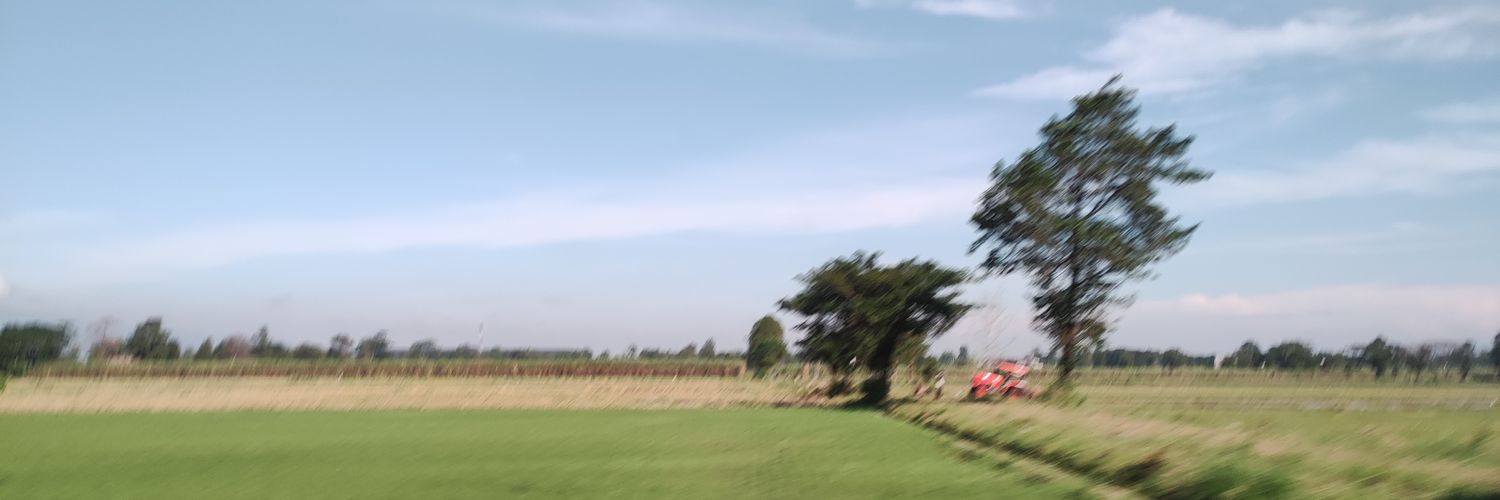 princesslandak's profile banner image