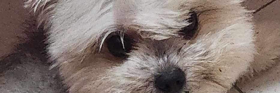 kyleandal_'s profile banner image