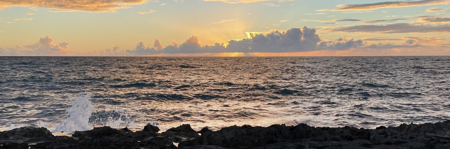 shy fernandez banner