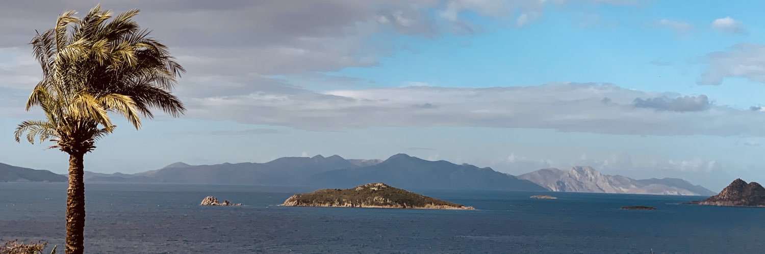 Deniz Vatan Buyorük banner