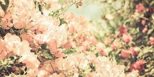 Courbs102's profile banner image