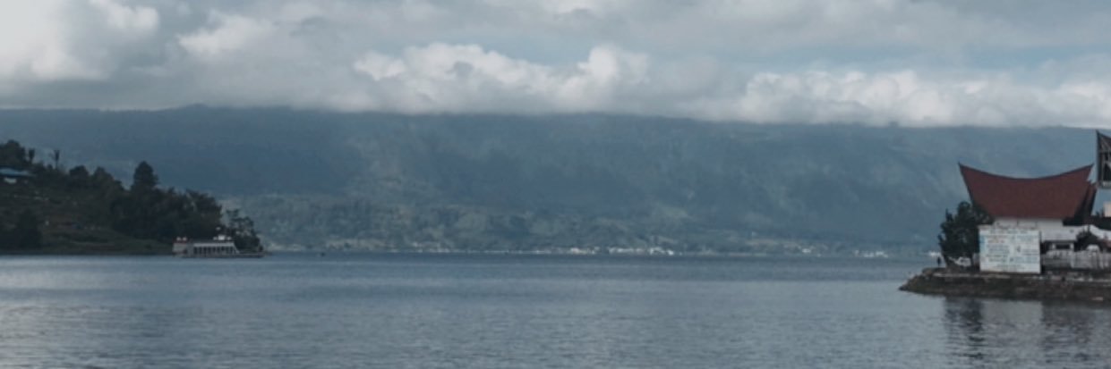 desiparhusip's profile banner image