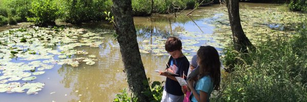 delphinebatho Profile Banner