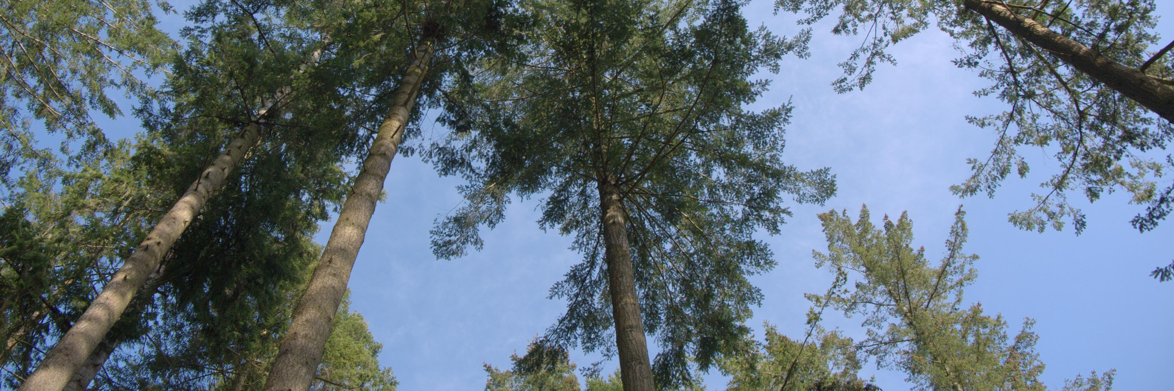 funnilyenough's profile banner image