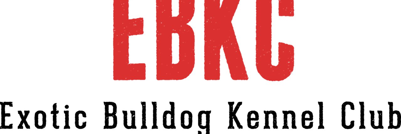 EBKCreg's profile banner image