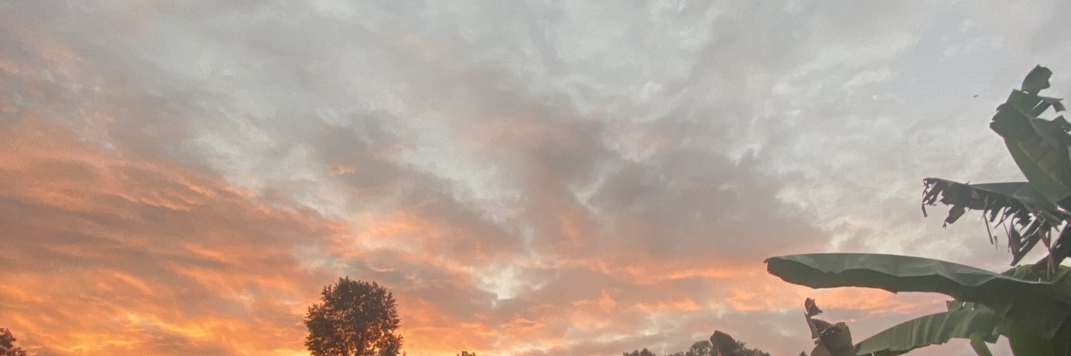 Rf_hdk's profile banner image