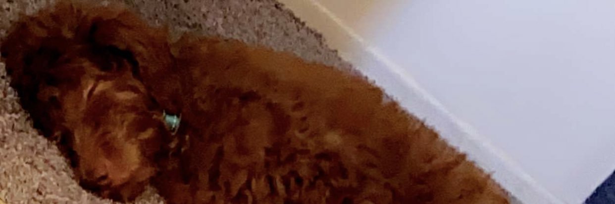 FatAss_E's profile banner image