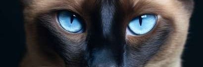 truva68's profile banner image