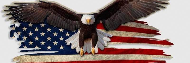 🇺🇸Debbie🇺🇸 banner