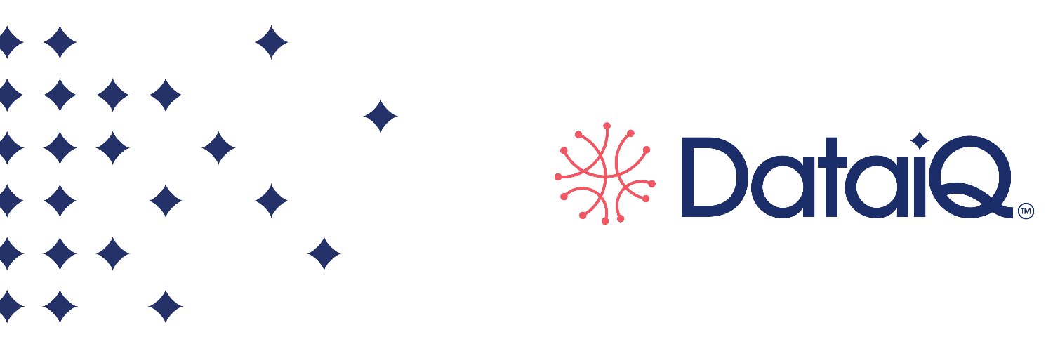 DataIQ banner