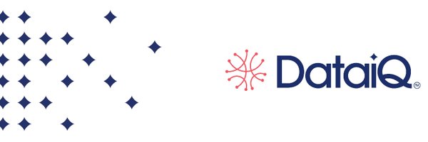 TheDataIQ Profile Banner