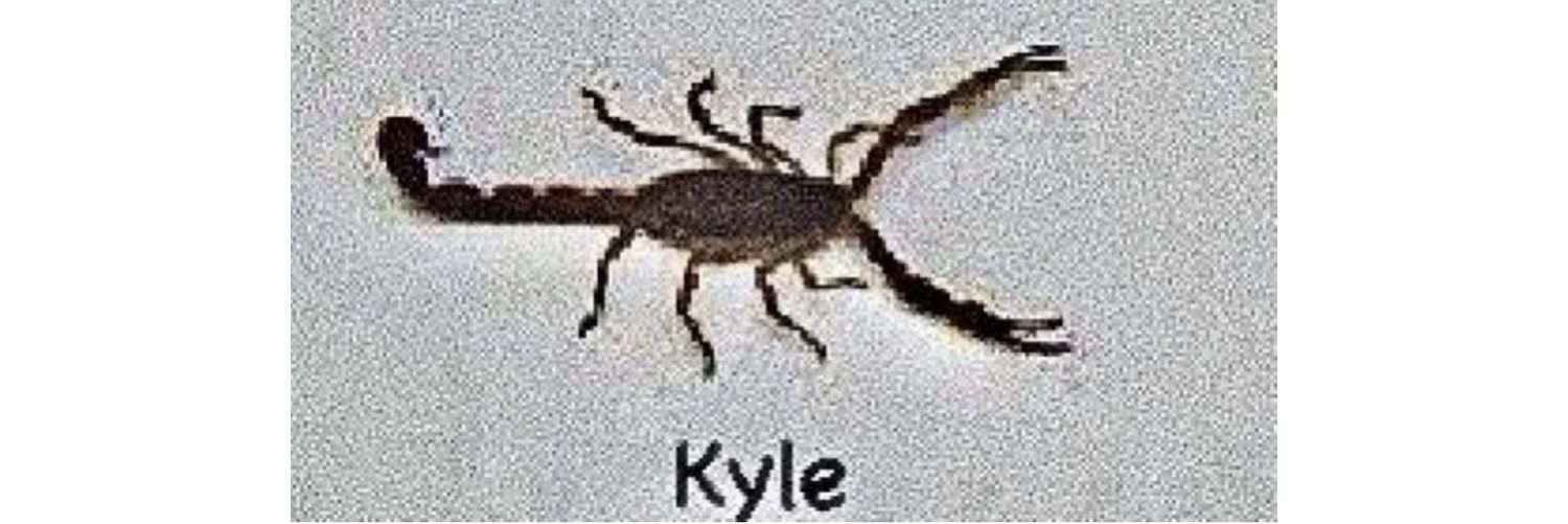 kylesecundus's profile banner image