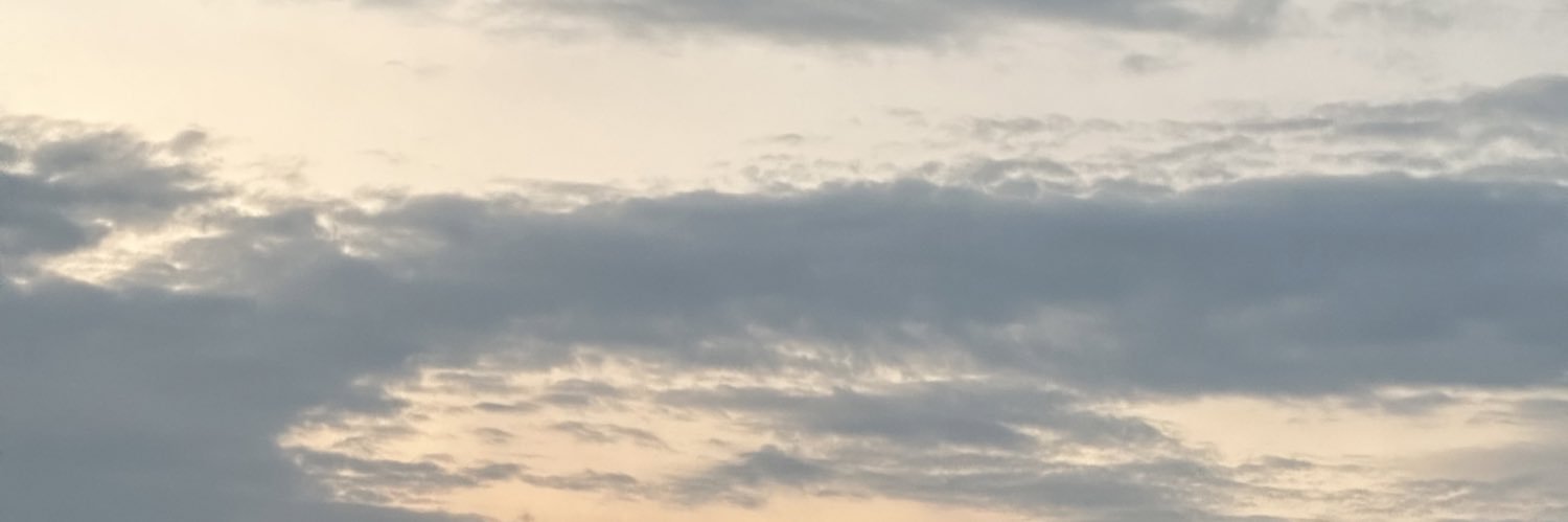 S_forEM's profile banner image