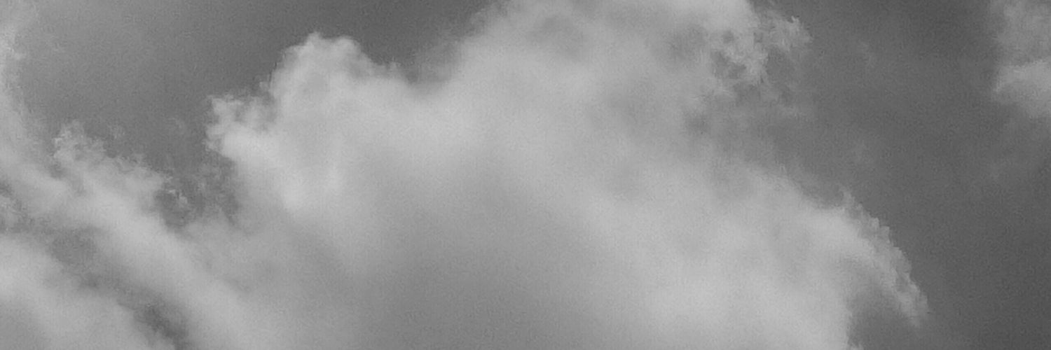 megadinisari's profile banner image
