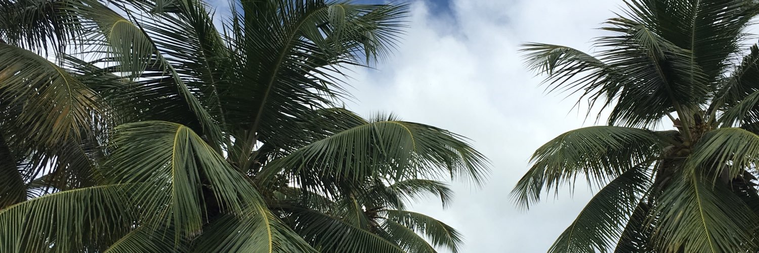 odiosandria's profile banner image