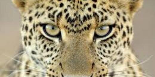 yositakur's profile banner image
