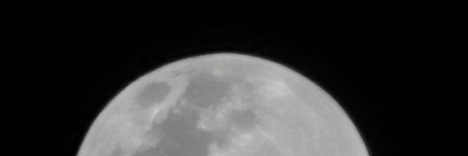 liiatamar's profile banner image