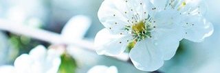 AUakhalid36's profile banner image