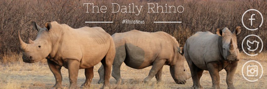 DailyRhino's profile banner image