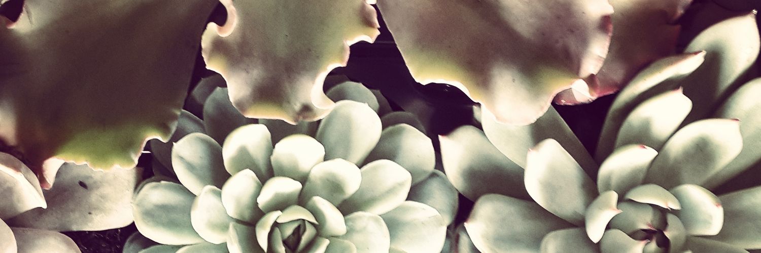 TerrenceBray's profile banner image