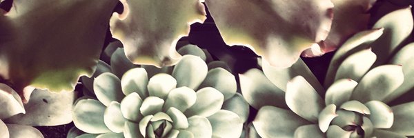 TerrenceBray Profile Banner