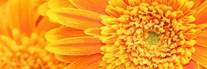 hopefullyand's profile banner image