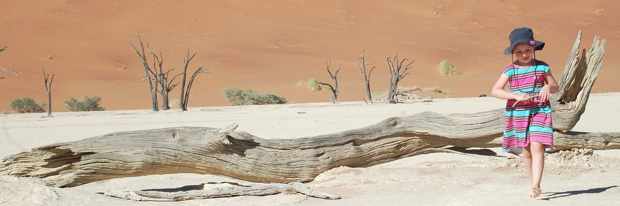 SchalkJonker's profile banner image