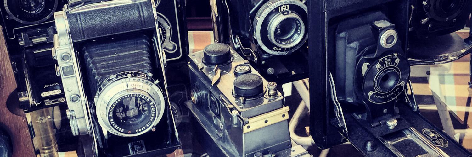 Vicky Lee-Middleton banner