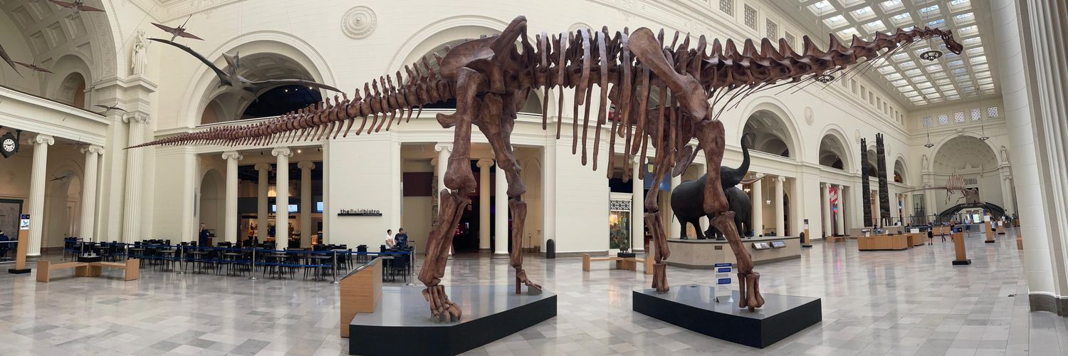 will'is Wonka banner