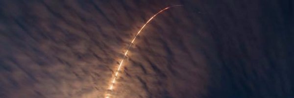 AntiqueLady Profile Banner