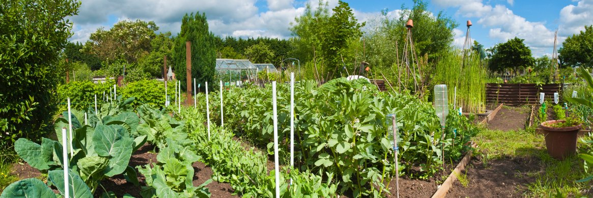 Smallholder Magazine banner