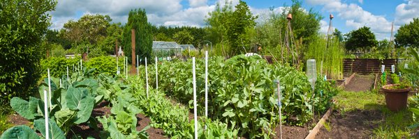 SmallholderMag Profile Banner